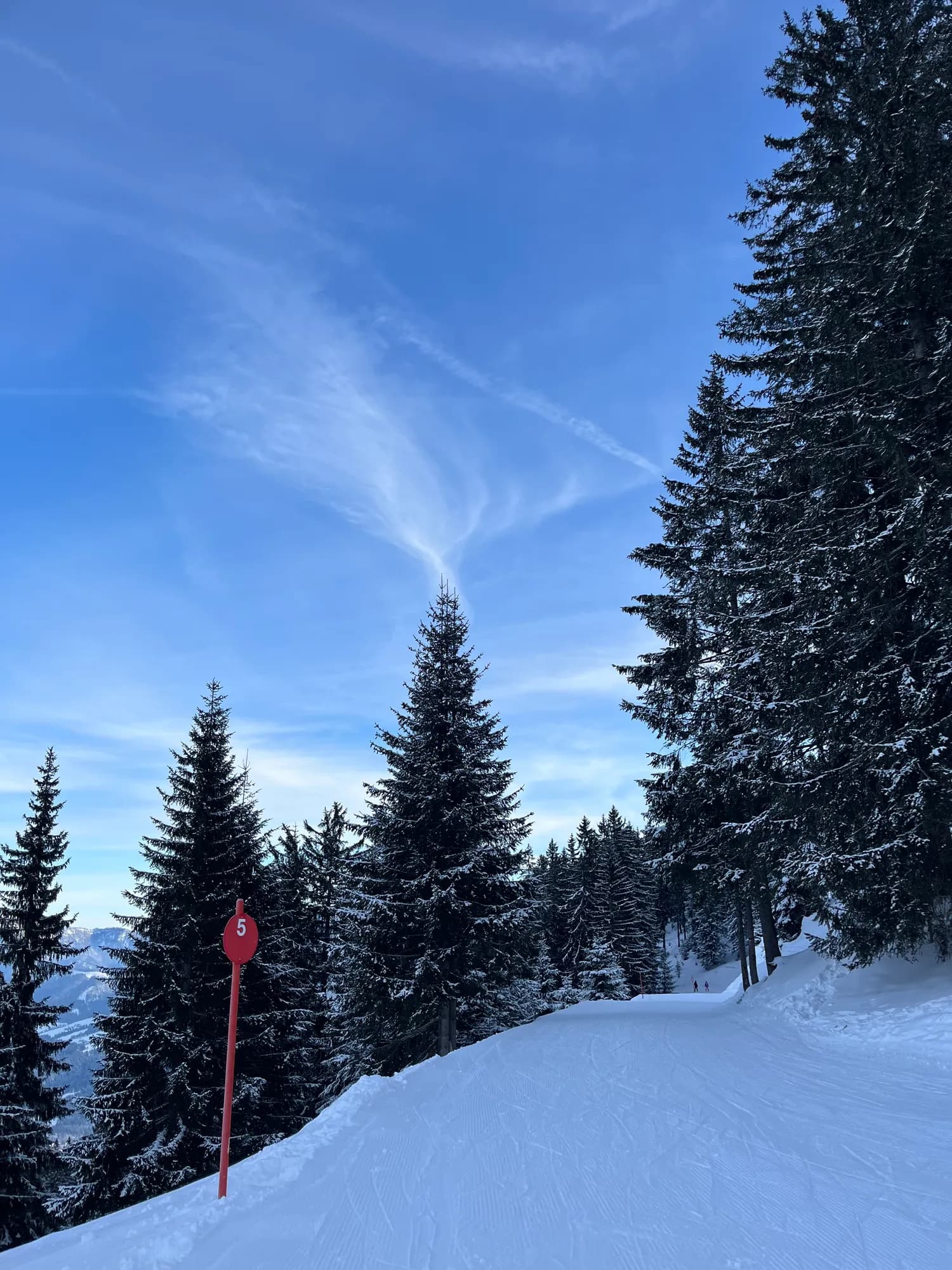 Verschneiter Nadelwald an einem Wintertag im Chiemgau.